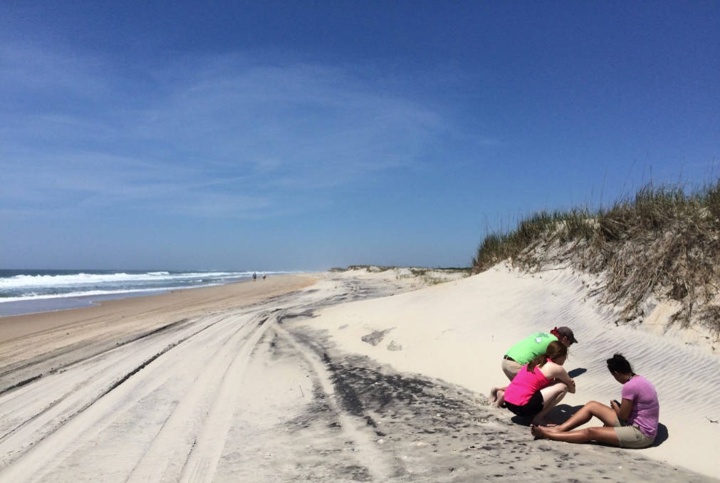 Outer Banks field research