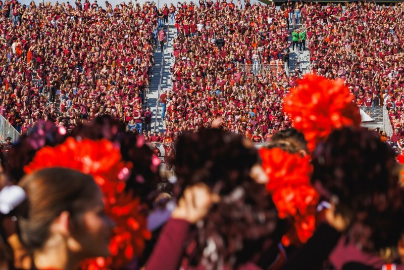 fans in lane stadium