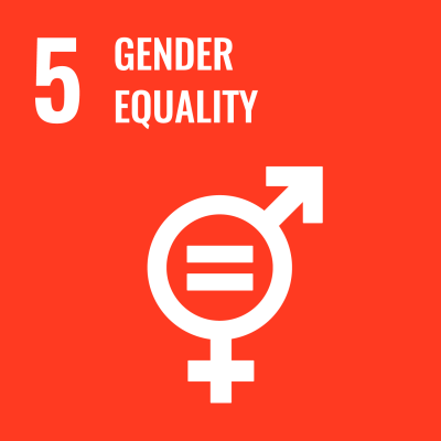 5 Gender Equality dashboard