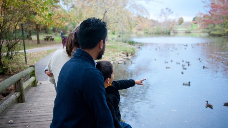 Justin and Jessica Yalung take sons Ezra, 4, and Micah, 2, to the Duck Pond.